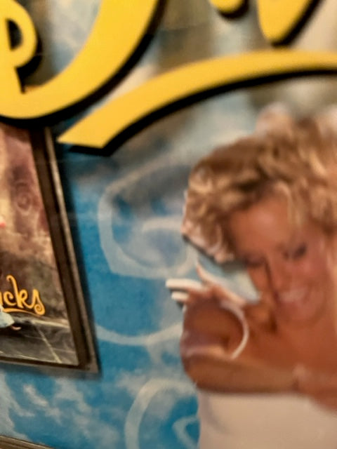 The Dixie Chicks - Wide Open Spaces RARE One Of A Kind Record Award