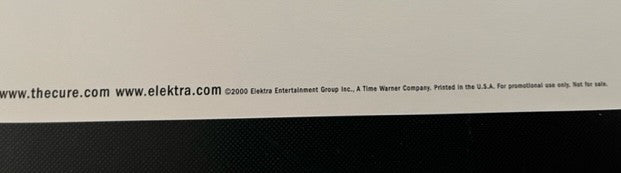 The Cure - Bloodflowers - Rare 12" x 12" 2-Sided Promotional ONLY Cardboard Display Flat - Unused