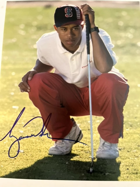 Tiger Woods - Hand Signed 8 x 10 Photo