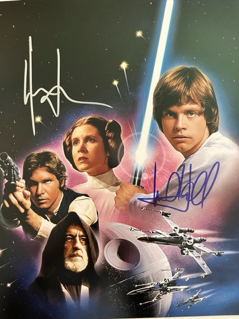 STAR WARS - A NEW HOPE Hand Signed 8 x 10 Photo  Harrison Ford & Mark Hamill