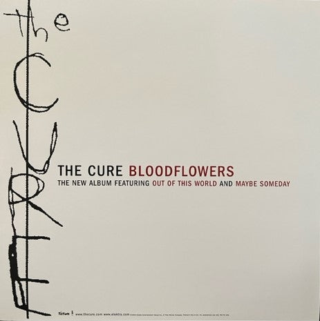 The Cure - Bloodflowers - Rare 12" x 12" 2-Sided Promotional ONLY Cardboard Display Flat - Unused