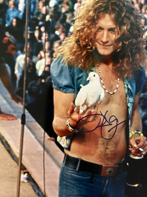 Led Zeppelin - Robert Plant Autographed 8 x 10 photo